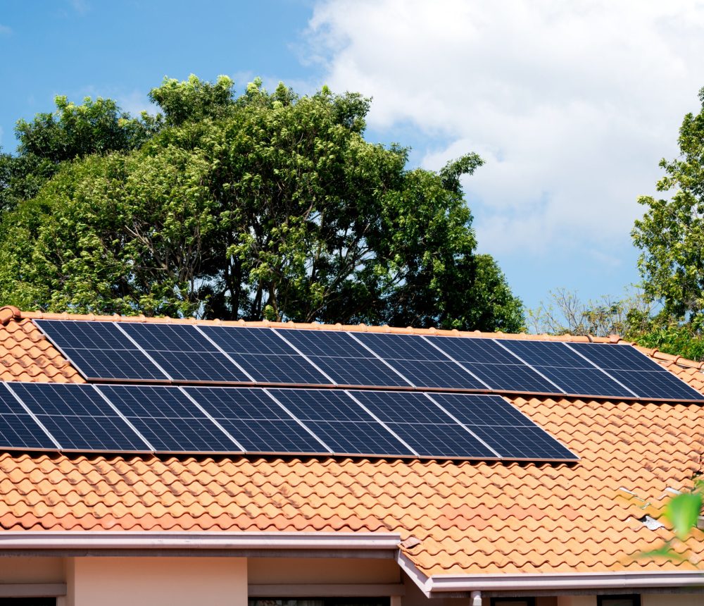 photovoltaic-electricity-generation-with-solar-p-2025-03-10-15-35-31-utc (1)